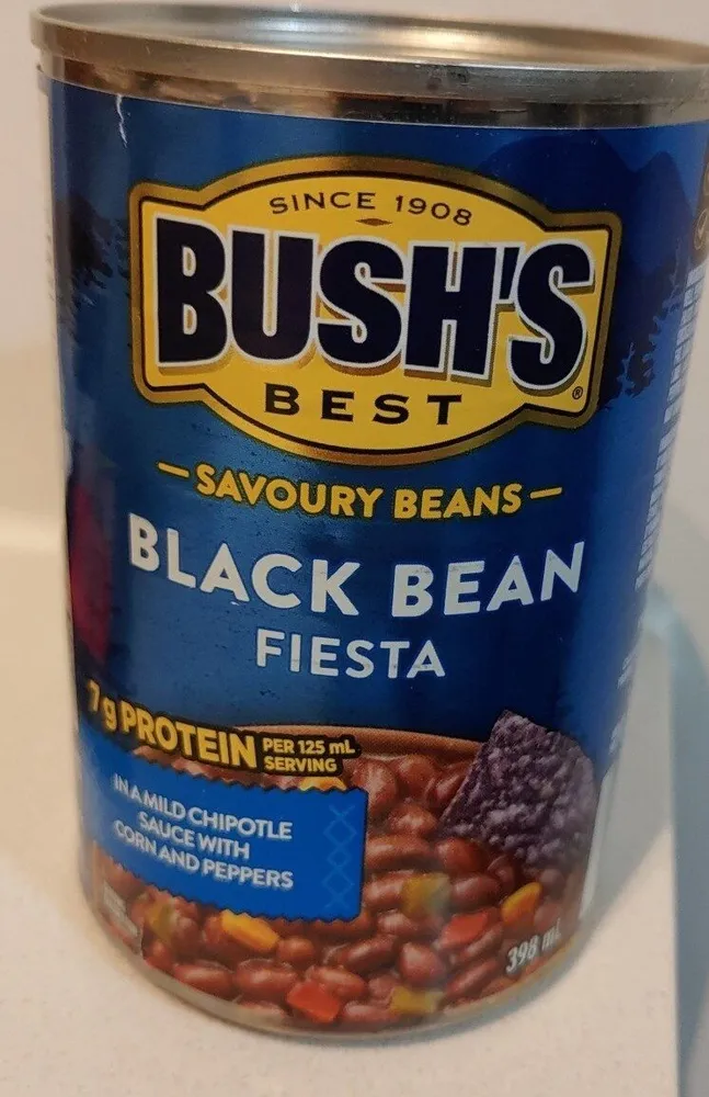 Black bean fiesta