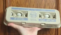 Eggs