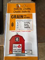 Grain Nourri Oeufs