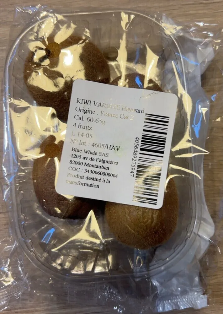 Kiwi