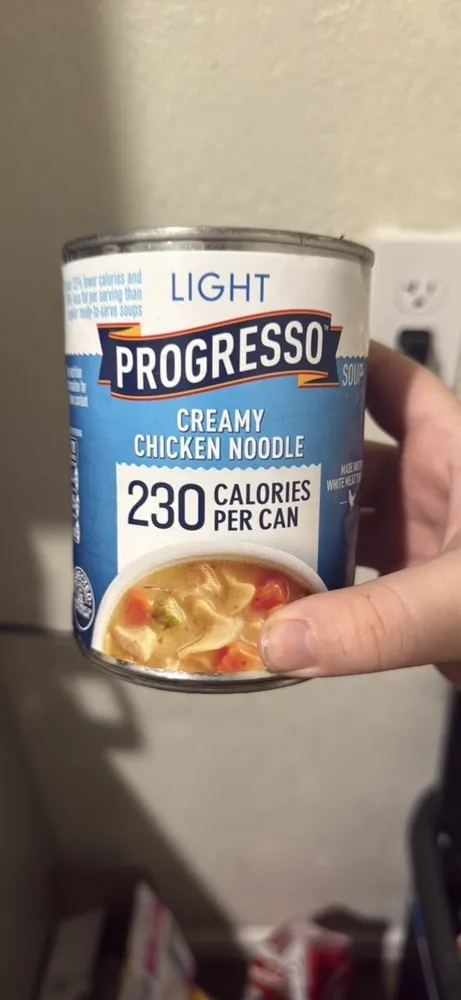 Creamy Chicken Noodle Soup