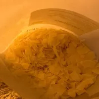 Kokos chips geroosterd
