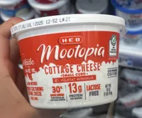 Cottage Cheese Small Curd