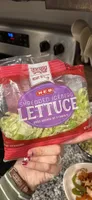 Shredded Iceberg Lettuce