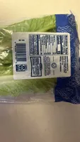 ROMAINE HEARTS