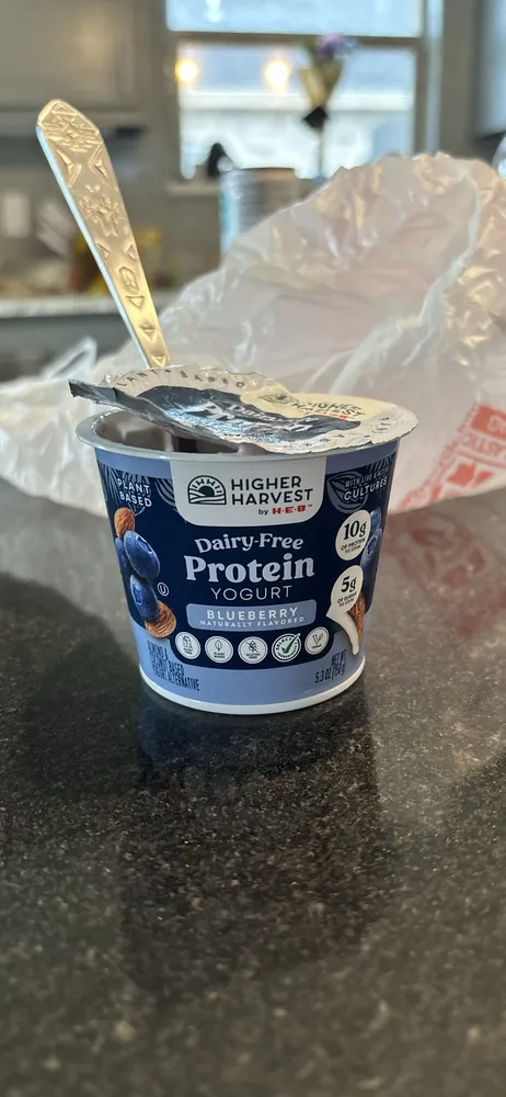 Dairy-Free Protein Yogurt Blueberry