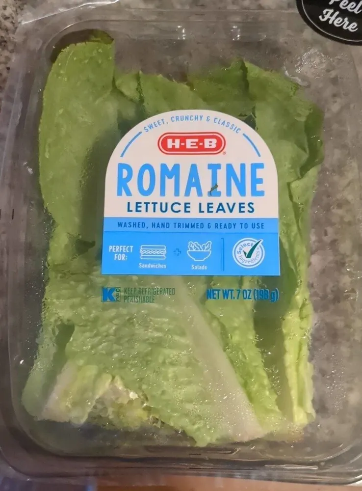 ROMAINE LETTUCE LEAVES