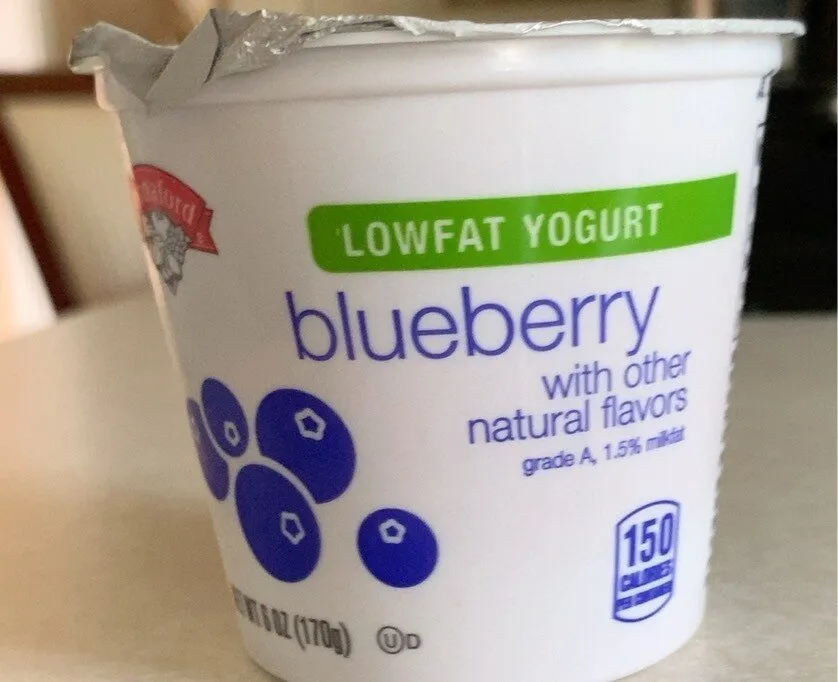 Blueberry yogurt