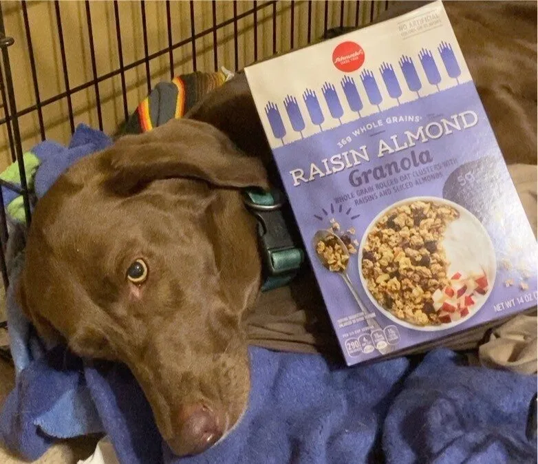 Raisin almond granola
