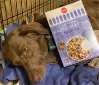 Raisin almond granola
