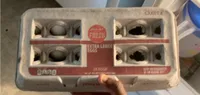 Extra Large Eggs