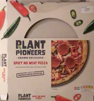 Spicy no meat pizza