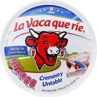 Queso Untable 171 GRS