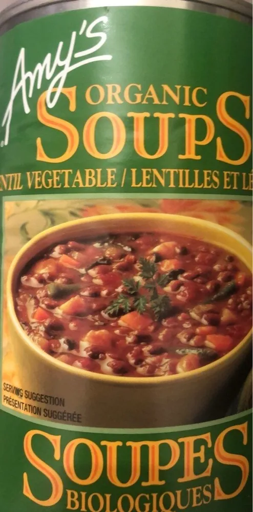 Lentil Vegetable soup