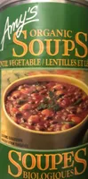Lentil Vegetable soup
