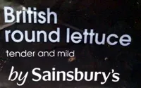 british round lettuce