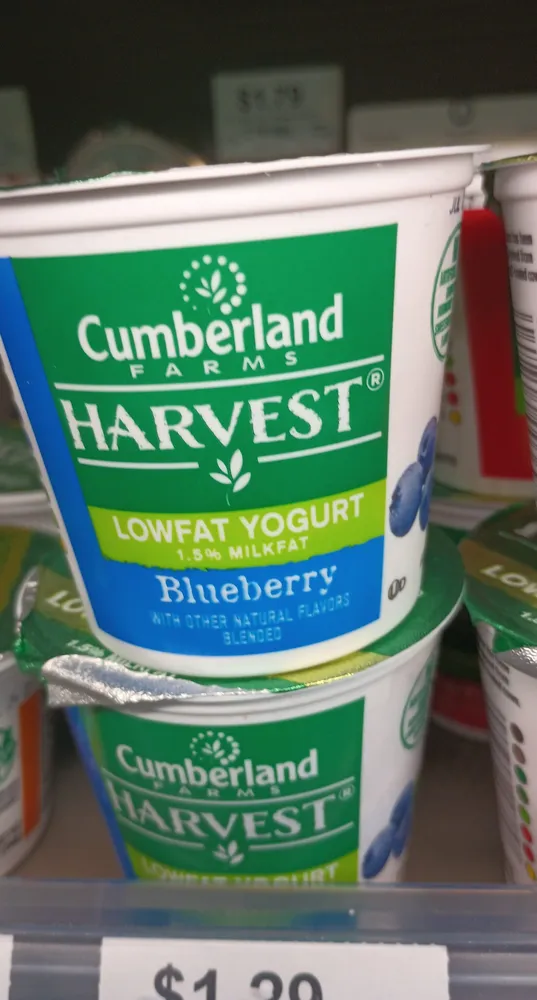 Lowfat yogurt