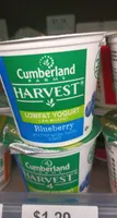 Lowfat yogurt