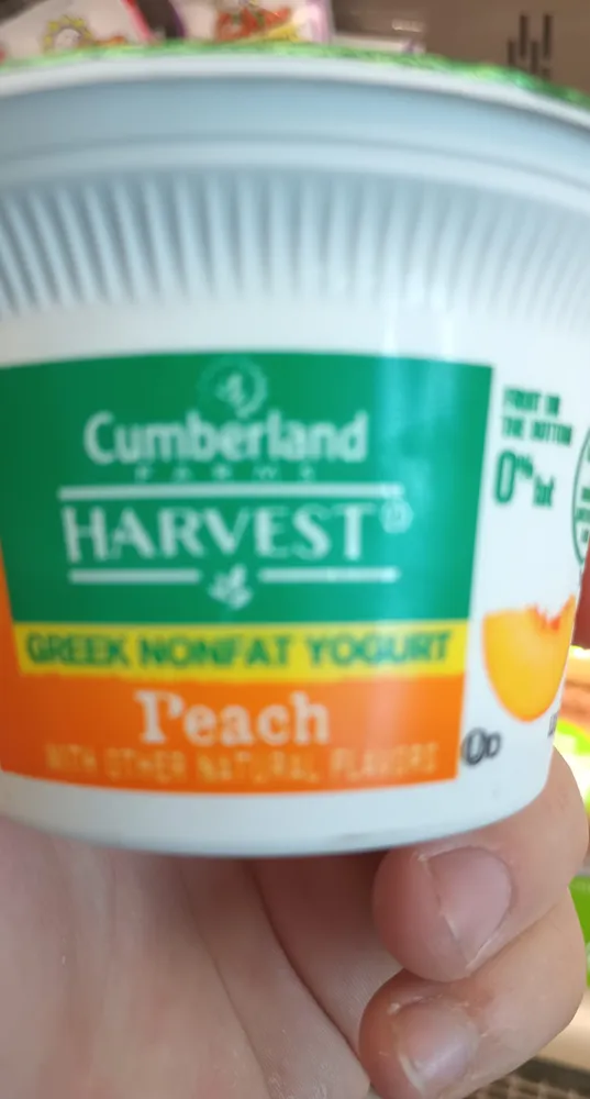 Greek nonfat yogurt