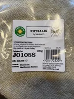 Physalis