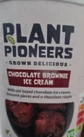 Plant pioneers chocolate brownie ice cream