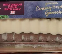 Triple chocolate praline winter forest