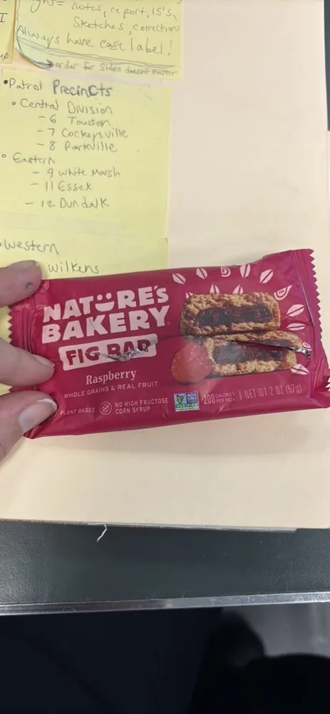 Nature's Bakery Fig Bar Raspberry