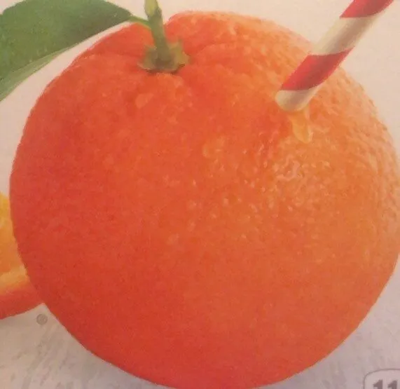 Pure Premium Orange Juice Homestyle Some Pulp