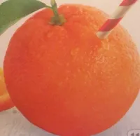 Pure Premium Orange Juice Homestyle Some Pulp