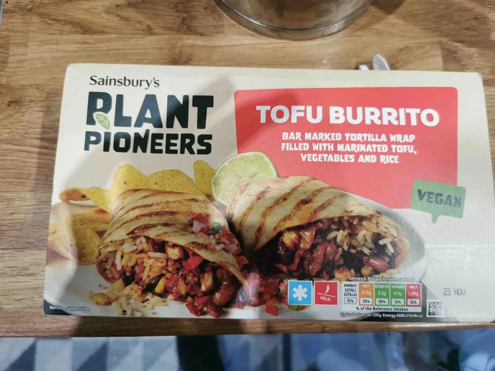 Tofu Burrito