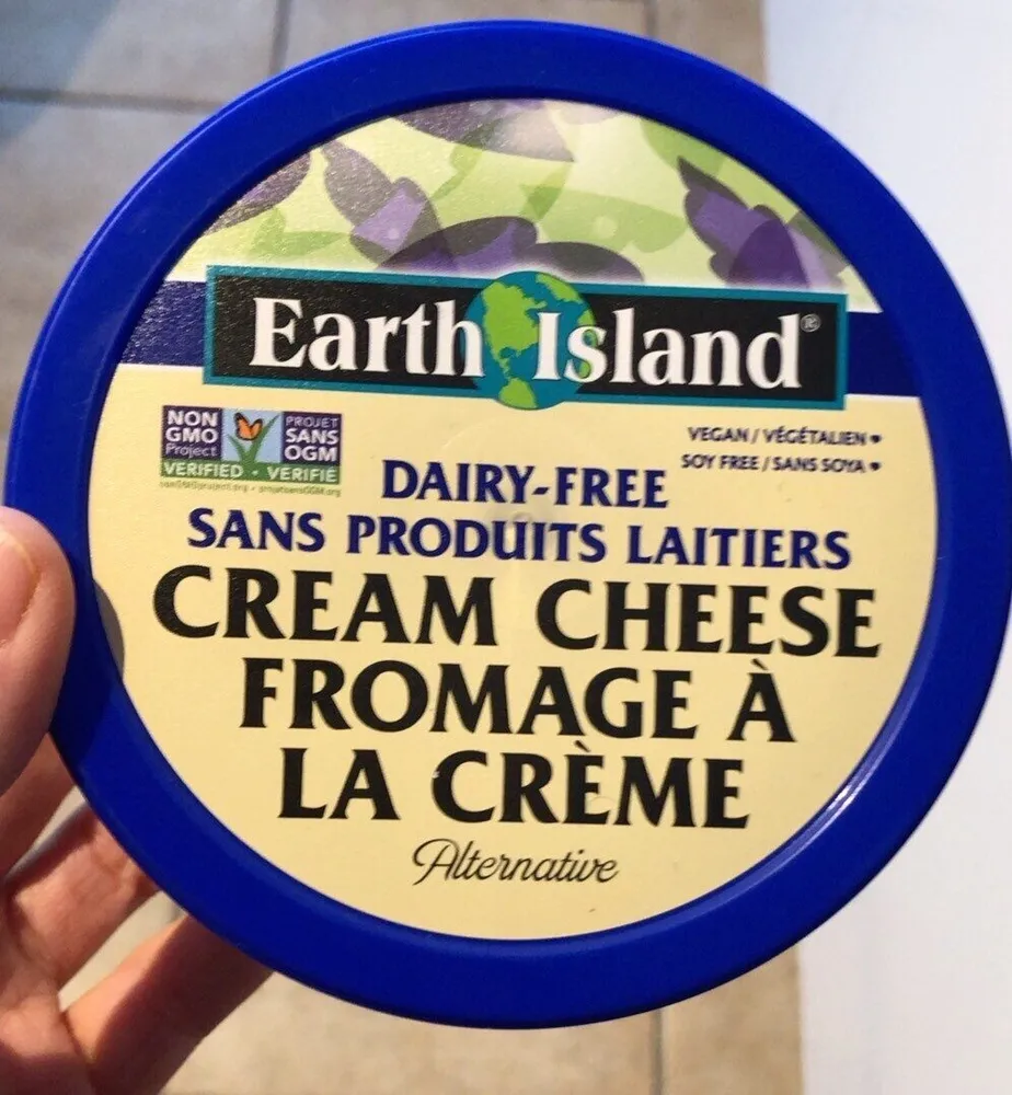 Dairy-Free Cream Cheese Alternative (no Fava)