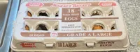 EGGS