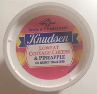 Low Fat Cottage Cheese & Pineapple
