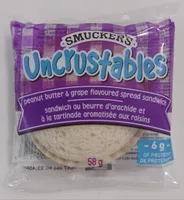 Peanut Butter & Grape Flavoured Spread Sandwich