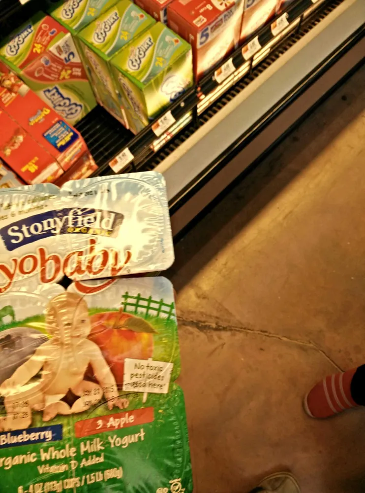 Organic YoBaby Blueberry Yogurt w/ Probiotics