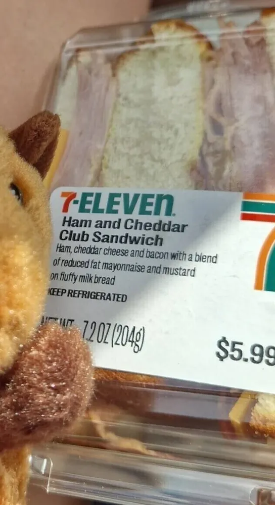 Ham And cheddar Club Sandwich