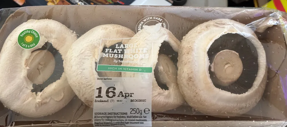 Large Flat Mushrooms