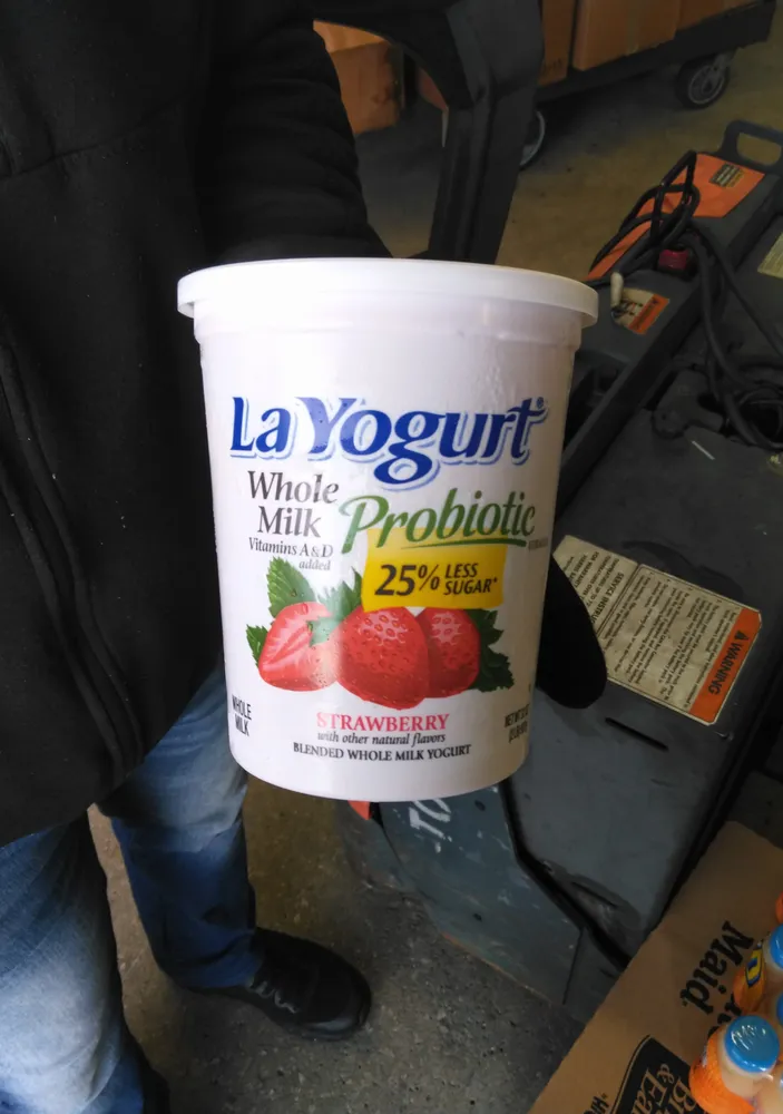 Probiotic formula blended whole milk yogurt