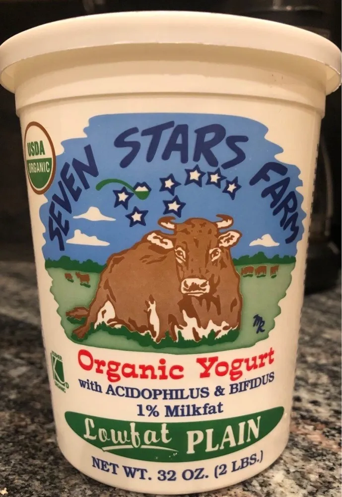 Low Fat Plain Yogurt