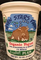 Low Fat Plain Yogurt