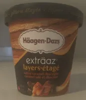 Salted Caramel Chocolate exträaz Layers Ice Cream