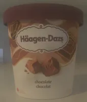 Chocolate Ice Cream