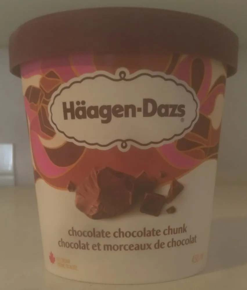 Chocolate Chocolate Chunk Ice Cream