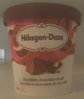Chocolate Chocolate Chunk Ice Cream