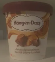 Chocolate Peanut Butter Ice Cream