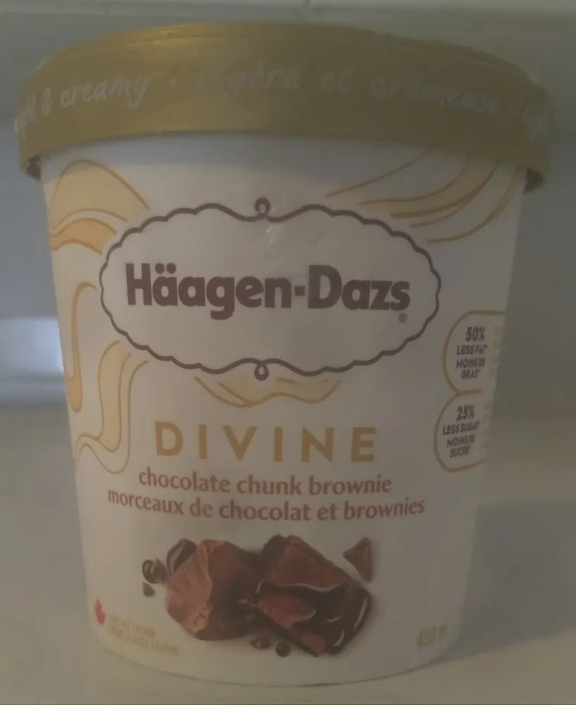 Chocolate Chunk Brownie Divine Ice Cream