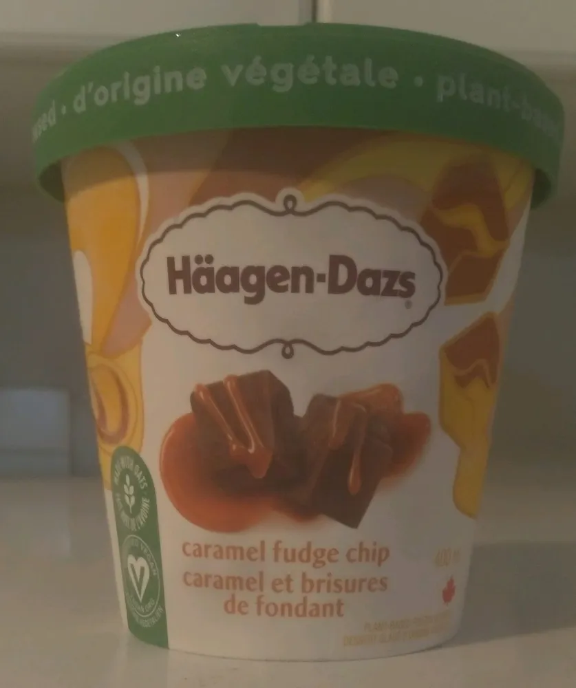 Caramel Fudge Chip Plant-Based Frozen Dessert
