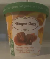 Caramel Fudge Chip Plant-Based Frozen Dessert