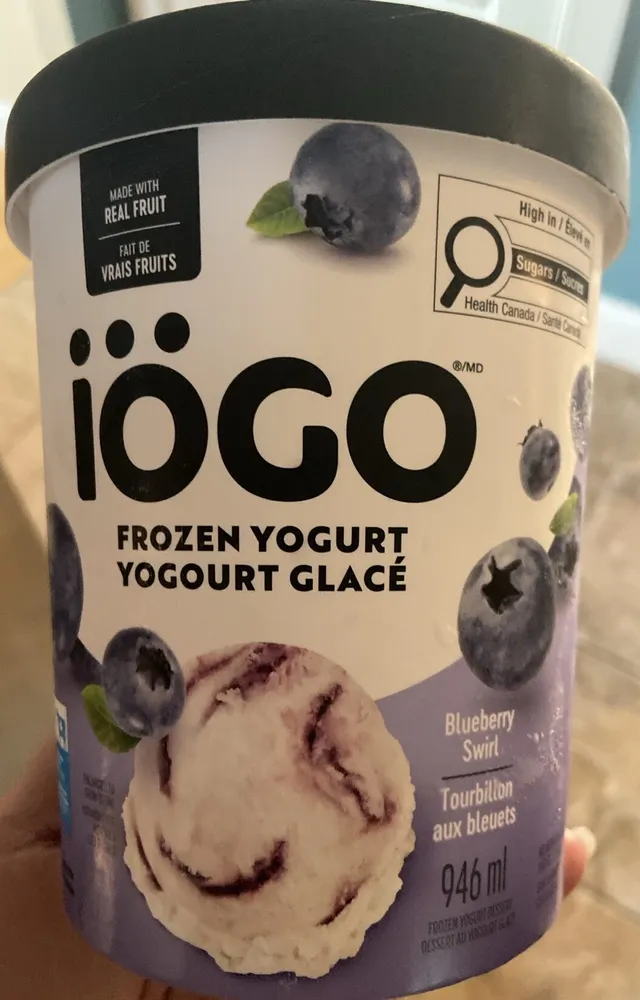 Frozen Yogurt Blueberry Swirl