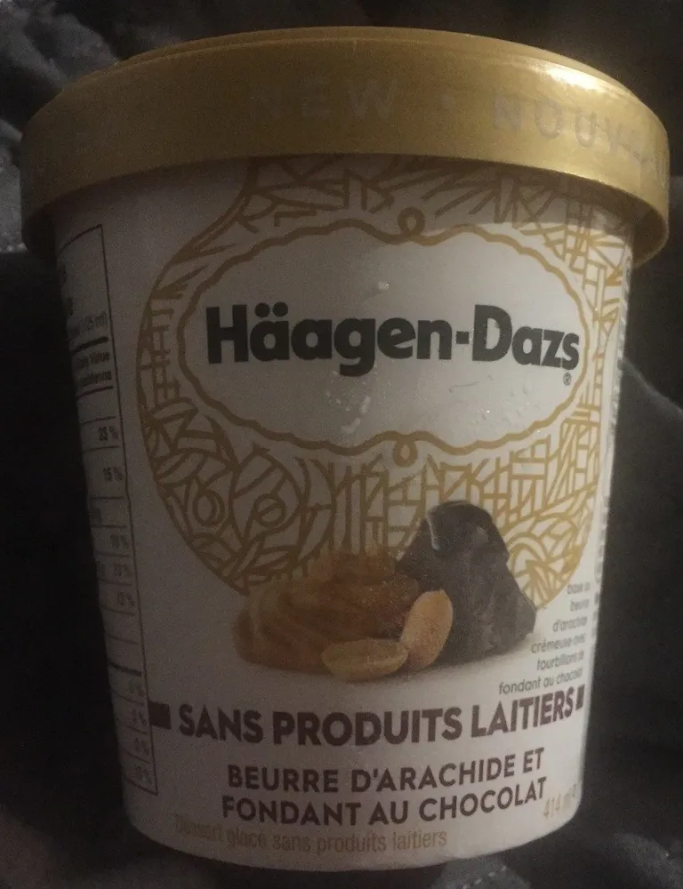 Sans produits laitiers Beurre d'arachide et fondant au chocolat